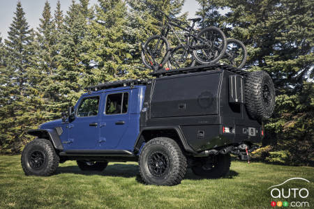 Jeep Top Dog, profil